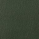Forest leather swatch