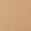 Taupe leather swatch