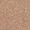 Taupe swatch