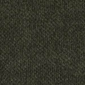 Spruce fabric swatch